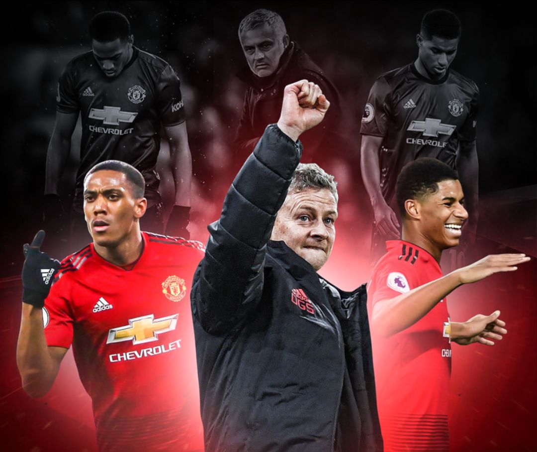 对树体的细 对树体的细